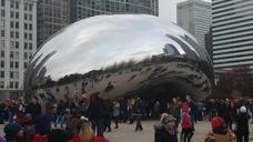 chicago-bean-architecture-park-usa-568730.jpg