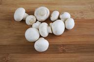 mushroom-mushrooms-white-mushroom-623142.jpg