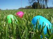 easter-egg-grass-spring-holiday-619867.jpg