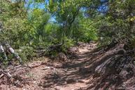 Waterfall_Trail_on_Fossil_Creek.jpg