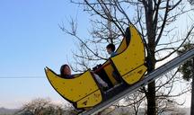 roller-coaster-theme-park-470407.jpg