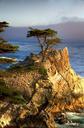 Monterey-Bay-in-California.jpg