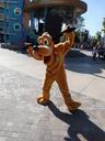 pluto-disneyland-theme-park-486130.jpg