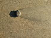 pebble-sand-beach-seaside-tide-1604233.jpg