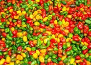 farmers-market-peppers-colorful-718272.jpg