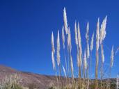 san-pedro-de-atacama-san-pedro-1579444.jpg