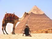 camel-desert-pyramid-middle-east-926435.jpg