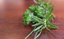 herbs-rosemary-parsley-thyme-164642.jpg