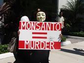 protest-anger-gmo-anomim-mask-827936.jpg