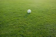 football-sports-ground-ball-472047.jpg