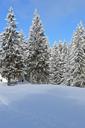 winter-scene-mountain-wonderland-1086567.jpg