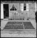 San_Bruno,_California._Close-up_of_barrack_home_with_the_carefully_planned_flower_garden_in_foreground._-_NARA_-_537912.jpg