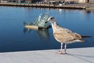 oslo-opera-building-opera-house-885642.jpg