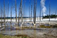 yellowstone-national-park-wyoming-51655.jpg