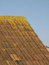 tiles-roof-architecture-pattern-1248403.jpg