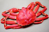 snow-crab-crab-food-seafood-cooked-19745.jpg