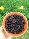 berries-mulberries-bowl-fruit-329448.jpg