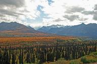 alaska-wilderness-mountains-67829.jpg