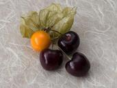 cherries-physalis-macro-651083.jpg