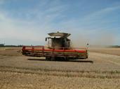 fields-harvest-grain-agriculture-837673.jpg