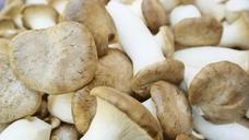 mushroom-vegetables-vegetable-514782.jpg