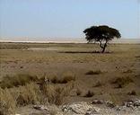 Blick auf etosha pfanne.jpg