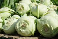 kohlrabi-vegetables-318154.jpg