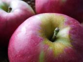 apples-fruits-red-apples-harvest-1098883.jpg