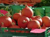 market-pumpkin-harvest-vegetables-68782.jpg