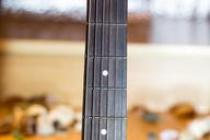 guitar-neck-vulture-strings-frets-1595242.jpg