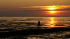 pair-beach-love-watts-wadden-sea-361154.jpg