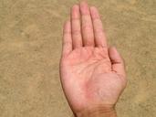 palm-hand-finger-bleaching-1590165.jpg