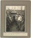 A_group_of_7th_Field_Company_of_Australian_Engineers_at_the_entrance_to_the_Catacombs,_a_system_of_tunnels_built_in_Hill_63,_Messines.jpg