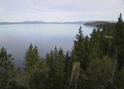 Lake tahoe with pine trees.jpg