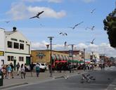 monterey-california-seascape-952229.jpg