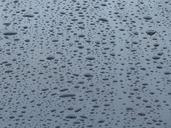 run-off-raindrop-rain-wet-shine-80159.jpg