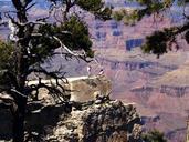 grand-canyon-south-rim-arizona-usa-50617.jpg