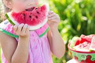 watermelon-summer-846357.jpg