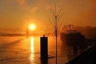 fog-mood-sun-morgenstimmung-rh%C3%B4ne-809175.jpg