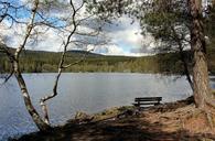 oslo-norway-nordmarka-lake-900334.jpg