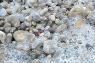 pebble-beach-sea-ocean-scum-564309.jpg