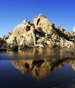 joshua-tree-national-park-boulders-388139.jpg