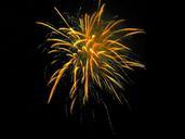 fireworks-summer-celebration-park-1035915.jpg