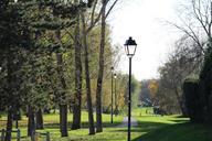 garden-path-tree-green-park-based-1038449.jpg