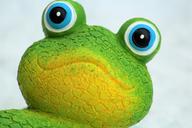 gecko-yellow-green-animal-fig-1362618.jpg