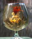 tea-flower-glass-asia-tee-243911.jpg