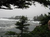 storm-waves-tofino-vancouver-island-357270.jpg