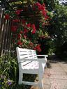 park-bench-park-bench-bank-nature-433690.jpg