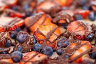 bakery-berry-blueberry-cake-72219.jpg