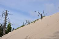 dune-sea-sand-nature-216614.jpg